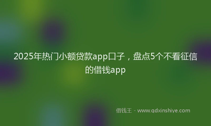 2025年热门小额贷款app口子，盘点5个不看征信的借钱app