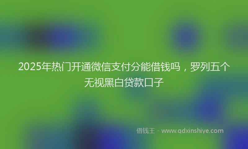 2025年热门开通微信支付分能借钱吗，罗列五个无视黑白贷款口子