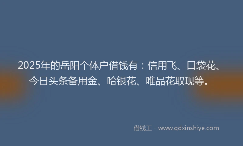 2025年的岳阳个体户借钱有：信用飞、口袋花、今日头条备用金、哈银花、唯品花取现等。