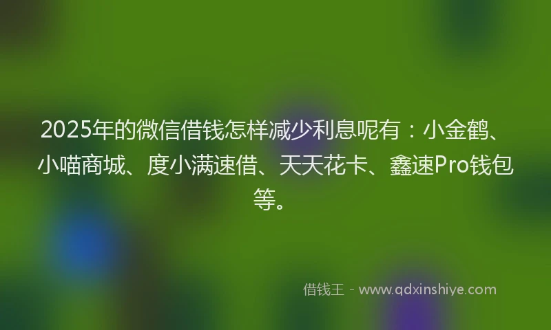 2025年的微信借钱怎样减少利息呢有：小金鹤、小喵商城、度小满速借、天天花卡、鑫速Pro钱包等。