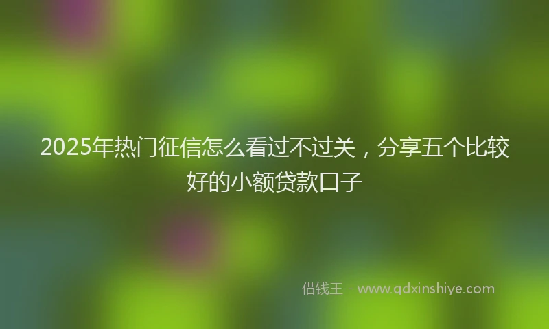 2025年热门征信怎么看过不过关，分享五个比较好的小额贷款口子