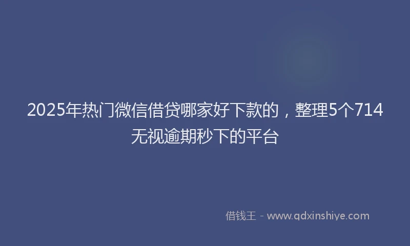 2025年热门微信借贷哪家好下款的,整理5个714无视逾期秒下的平台