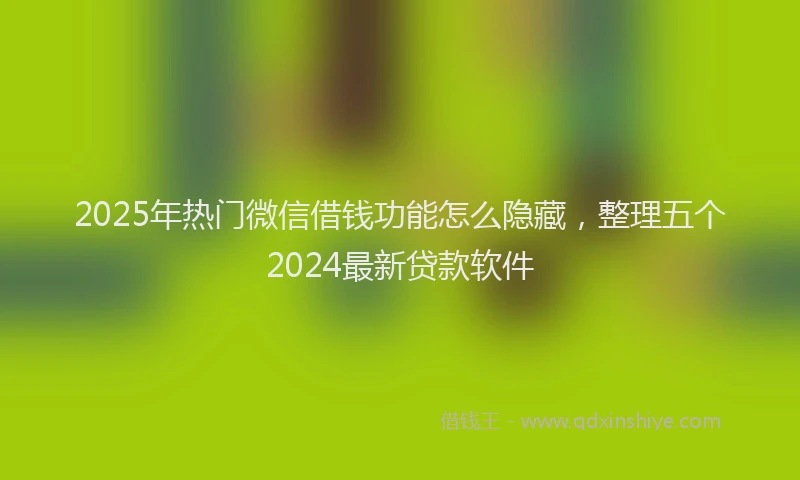 2025年热门微信借钱功能怎么隐藏，整理五个2024最新贷款软件