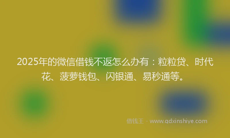 2025年的微信借钱不返怎么办有：粒粒贷、时代花、菠萝钱包、闪银通、易秒通等。