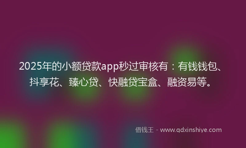 2025年的小额贷款app秒过审核有：有钱钱包、抖享花、臻心贷、快融贷宝盒、融资易等。