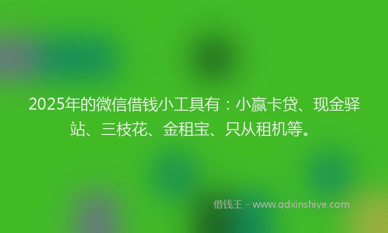 2025年的微信借钱小工具有：小赢卡贷、现金驿站、三枝花、金租宝、只从租机等。