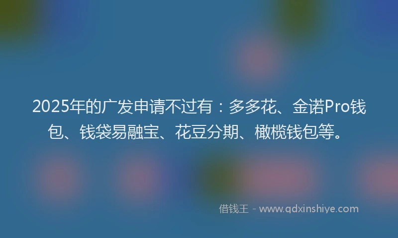 2025年的广发申请不过有：多多花、金诺Pro钱包、钱袋易融宝、花豆分期、橄榄钱包等。