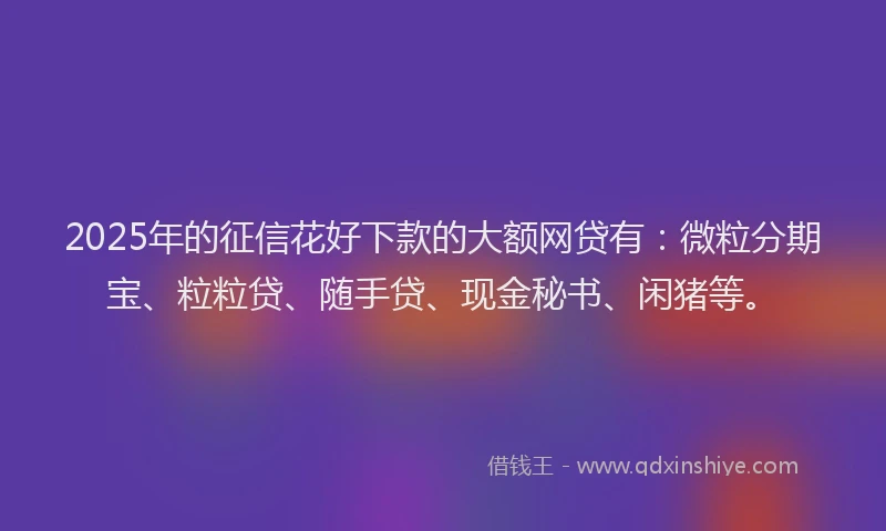 2025年的征信花好下款的大额网贷有：微粒分期宝、粒粒贷、随手贷、现金秘书、闲猪等。