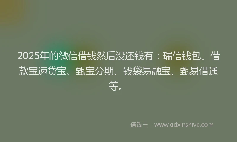 2025年的微信借钱然后没还钱有：瑞信钱包、借款宝速贷宝、甄宝分期、钱袋易融宝、甄易借通等。