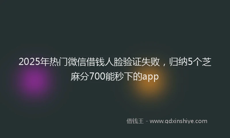 2025年热门微信借钱人脸验证失败，归纳5个芝麻分700能秒下的app