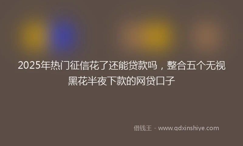 2025年热门征信花了还能贷款吗，整合五个无视黑花半夜下款的网贷口子