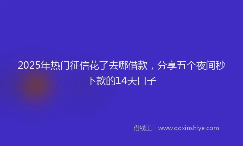 2025年热门征信花了去哪借款，分享五个夜间秒下款的14天口子
