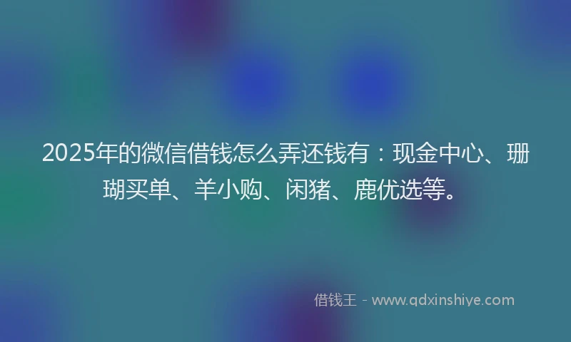 2025年的微信借钱怎么弄还钱有：现金中心、珊瑚买单、羊小购、闲猪、鹿优选等。