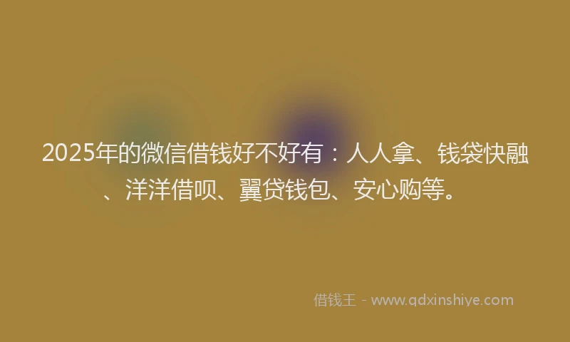 2025年的微信借钱好不好有：人人拿、钱袋快融、洋洋借呗、翼贷钱包、安心购等。