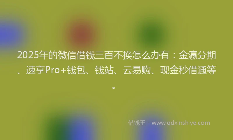 2025年的微信借钱三百不换怎么办有：金瀛分期、速享Pro+钱包、钱站、云易购、现金秒借通等。