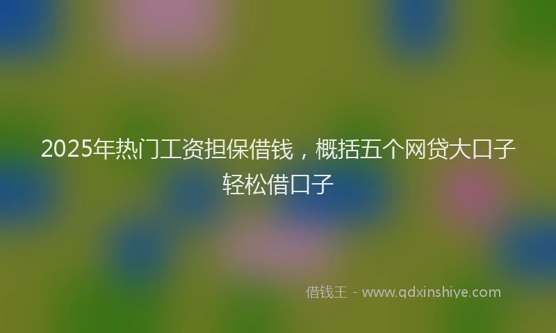 2025年热门工资担保借钱，概括五个网贷大口子轻松借口子