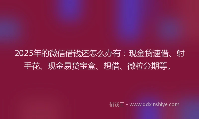 2025年的微信借钱还怎么办有：现金贷速借、射手花、现金易贷宝盒、想借、微粒分期等。