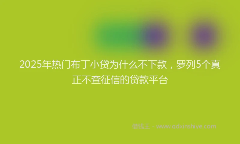 2025年热门布丁小贷为什么不下款，罗列5个真正不查征信的贷款平台