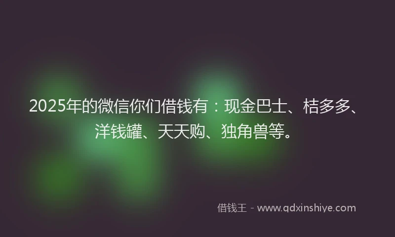 2025年的微信你们借钱有：现金巴士、桔多多、洋钱罐、天天购、独角兽等。