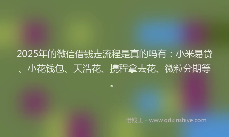 2025年的微信借钱走流程是真的吗有：小米易贷、小花钱包、天浩花、携程拿去花、微粒分期等。