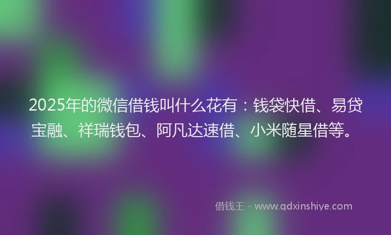 2025年的微信借钱叫什么花有：钱袋快借、易贷宝融、祥瑞钱包、阿凡达速借、小米随星借等。