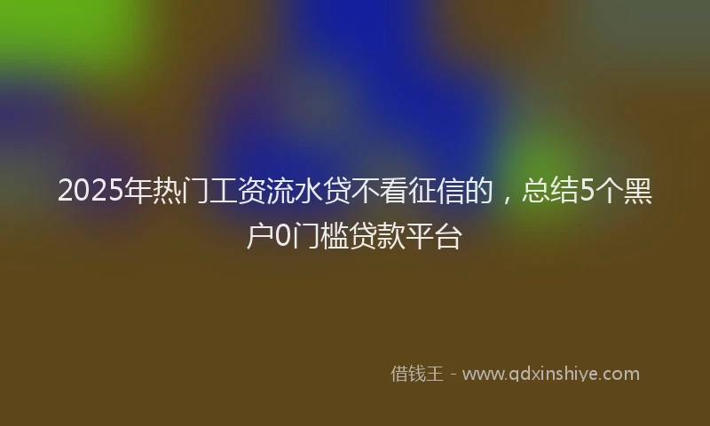 2025年热门工资流水贷不看征信的，总结5个黑户0门槛贷款平台