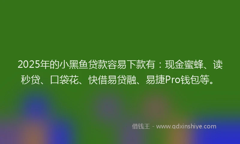 2025年的小黑鱼贷款容易下款有：现金蜜蜂、读秒贷、口袋花、快借易贷融、易捷Pro钱包等。