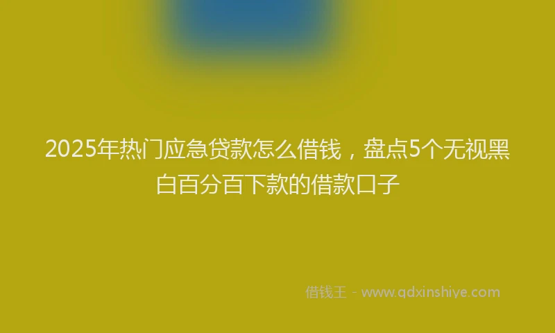 2025年热门应急贷款怎么借钱，盘点5个无视黑白百分百下款的借款口子