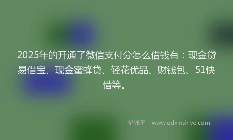 2025年的开通了微信支付分怎么借钱有：现金贷易借宝、现金蜜蜂贷、轻花优品、财钱包、51快借等。