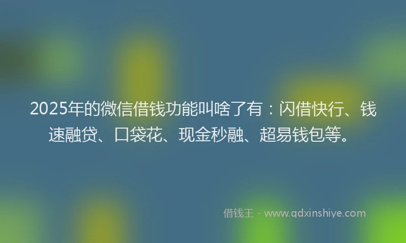 2025年的微信借钱功能叫啥了有：闪借快行、钱速融贷、口袋花、现金秒融、超易钱包等。