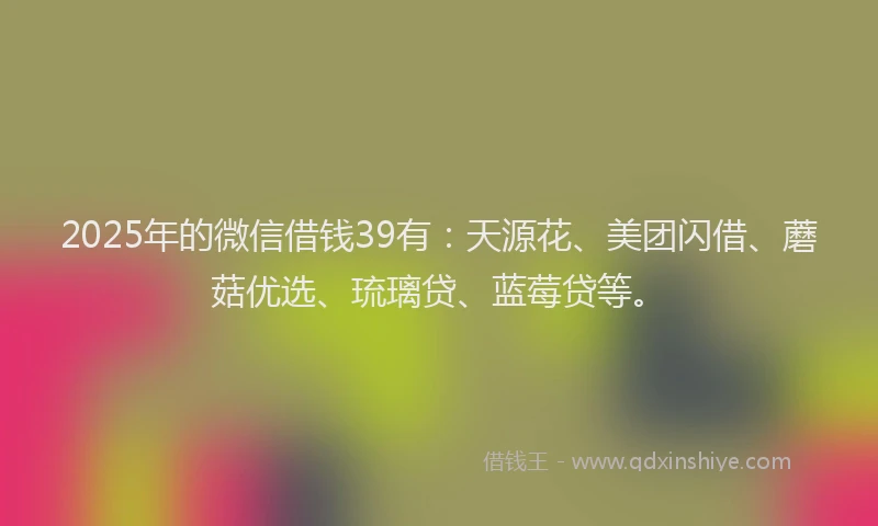 2025年的微信借钱39有：天源花、美团闪借、蘑菇优选、琉璃贷、蓝莓贷等。
