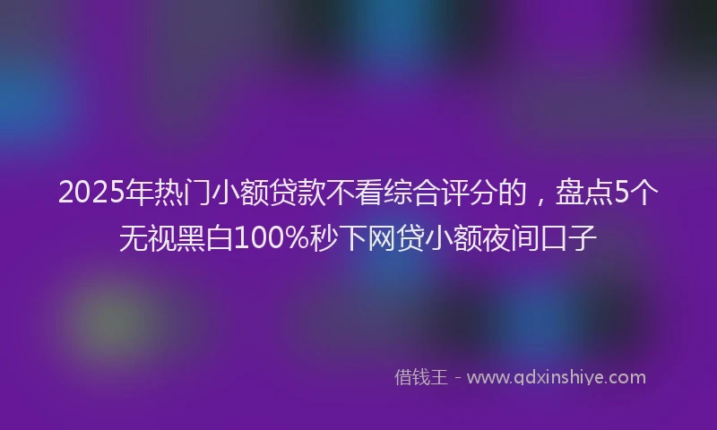 2025年热门小额贷款不看综合评分的，盘点5个无视黑白100%秒下网贷小额夜间口子