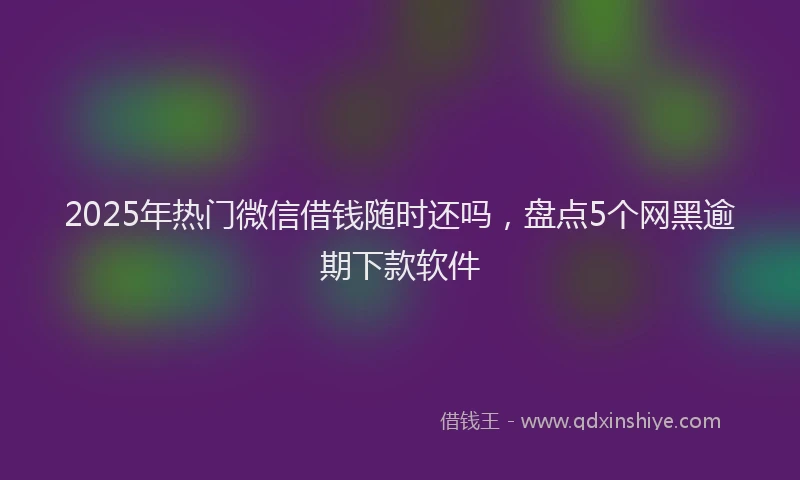 2025年热门微信借钱随时还吗，盘点5个网黑逾期下款软件