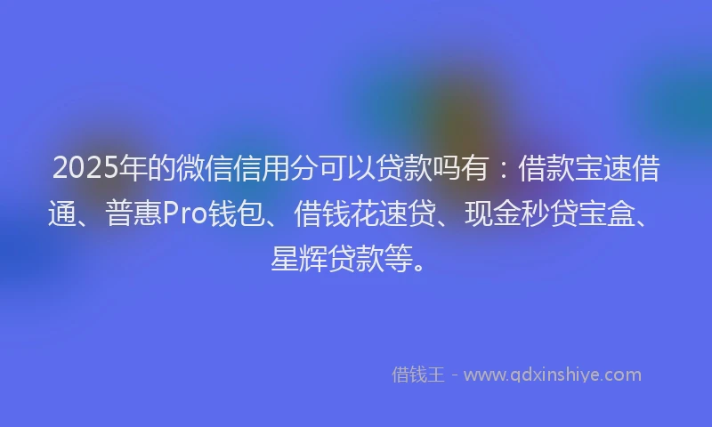 2025年的微信信用分可以贷款吗有：借款宝速借通、普惠Pro钱包、借钱花速贷、现金秒贷宝盒、星辉贷款等。