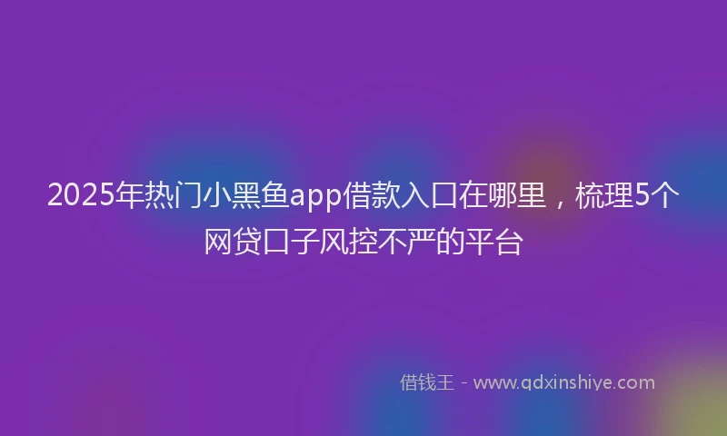 2025年热门小黑鱼app借款入口在哪里，梳理5个网贷口子风控不严的平台