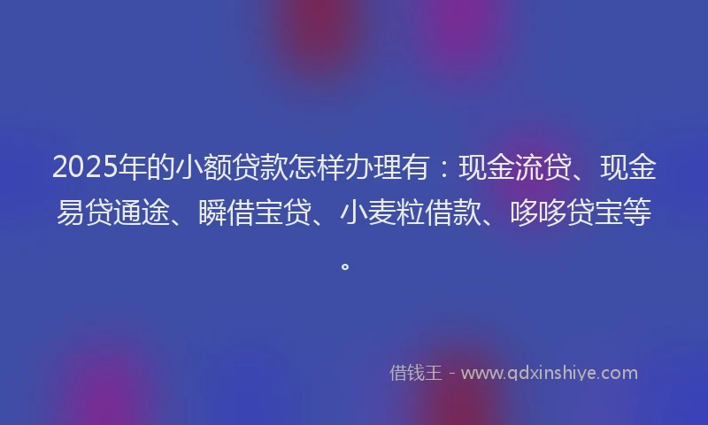 2025年的小额贷款怎样办理有：现金流贷、现金易贷通途、瞬借宝贷、小麦粒借款、哆哆贷宝等。