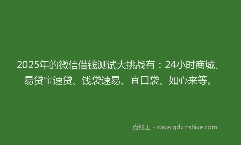 2025年的微信借钱测试大挑战有：24小时商城、易贷宝速贷、钱袋速易、宜口袋、如心来等。
