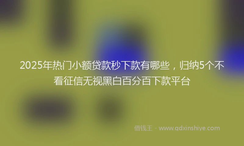 2025年热门小额贷款秒下款有哪些，归纳5个不看征信无视黑白百分百下款平台