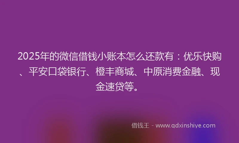 2025年的微信借钱小账本怎么还款有：优乐快购、平安口袋银行、橙丰商城、中原消费金融、现金速贷等。