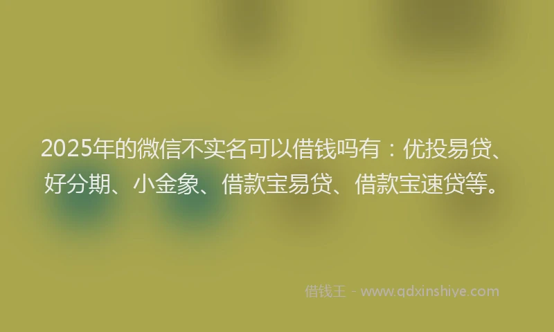 2025年的微信不实名可以借钱吗有：优投易贷、好分期、小金象、借款宝易贷、借款宝速贷等。