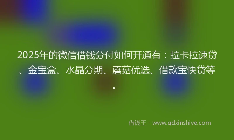 2025年的微信借钱分付如何开通有:拉卡拉速贷、金宝盒、水晶分期、蘑菇优选、借款宝快贷等。