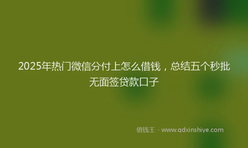 2025年热门微信分付上怎么借钱，总结五个秒批无面签贷款口子