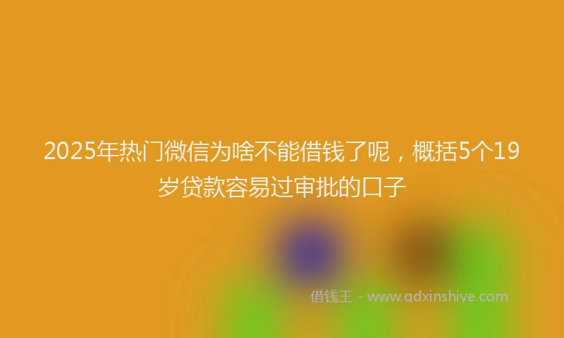 2025年热门微信为啥不能借钱了呢，概括5个19岁贷款容易过审批的口子