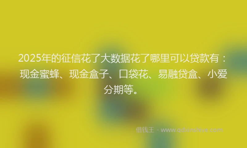 2025年的征信花了大数据花了哪里可以贷款有：现金蜜蜂、现金盒子、口袋花、易融贷盒、小爱分期等。