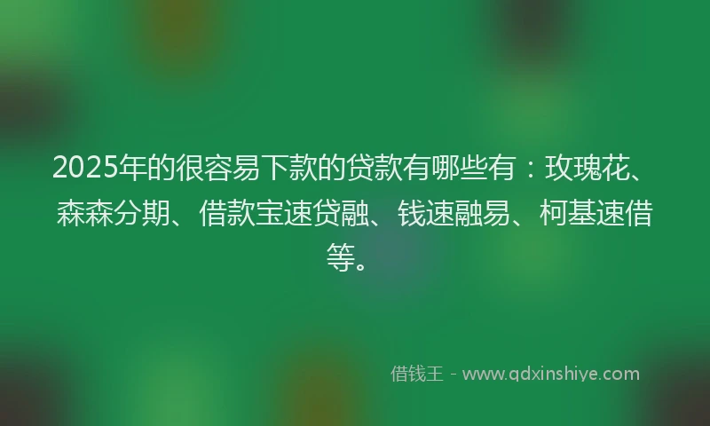 2025年的很容易下款的贷款有哪些有：玫瑰花、森森分期、借款宝速贷融、钱速融易、柯基速借等。