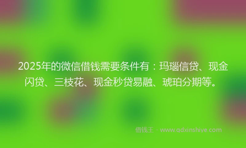 2025年的微信借钱需要条件有：玛瑙信贷、现金闪贷、三枝花、现金秒贷易融、琥珀分期等。