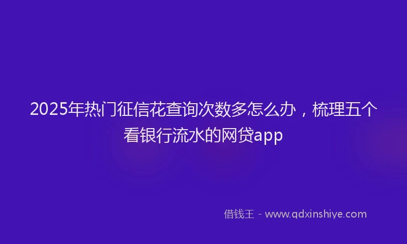 2025年热门征信花查询次数多怎么办，梳理五个看银行流水的网贷app