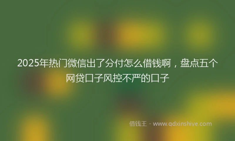 2025年热门微信出了分付怎么借钱啊，盘点五个网贷口子风控不严的口子