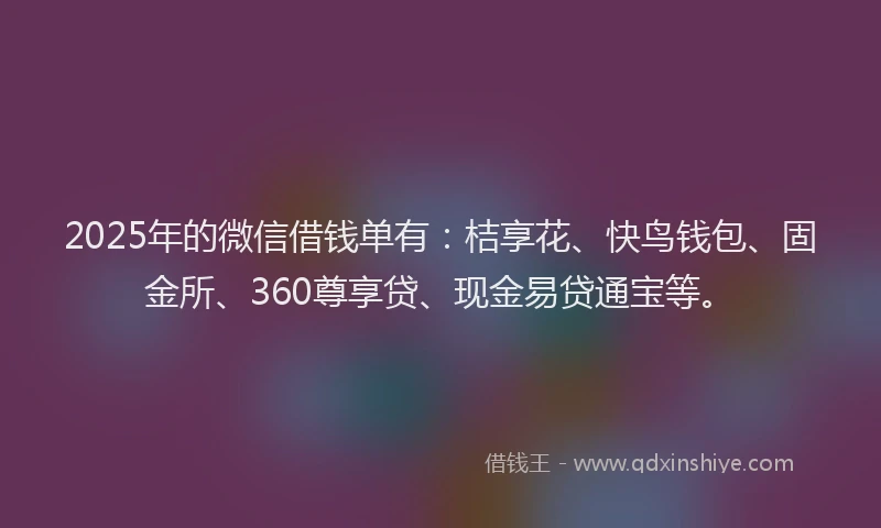 2025年的微信借钱单有：桔享花、快鸟钱包、固金所、360尊享贷、现金易贷通宝等。