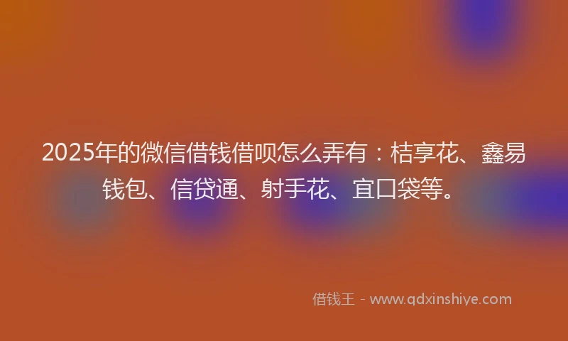 2025年的微信借钱借呗怎么弄有：桔享花、鑫易钱包、信贷通、射手花、宜口袋等。